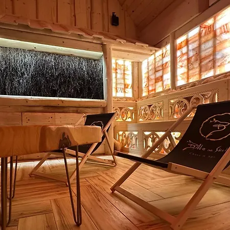 Chalet Bale Na Skale & Spa-zawoja